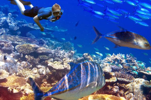 Scuba diving in Cyprus